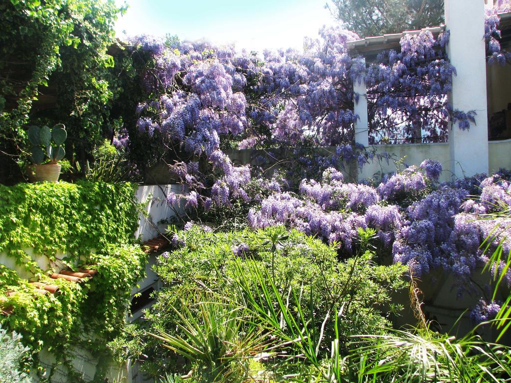 B&B La Salamandra Kitchengarden Forio  Екстер'єр фото