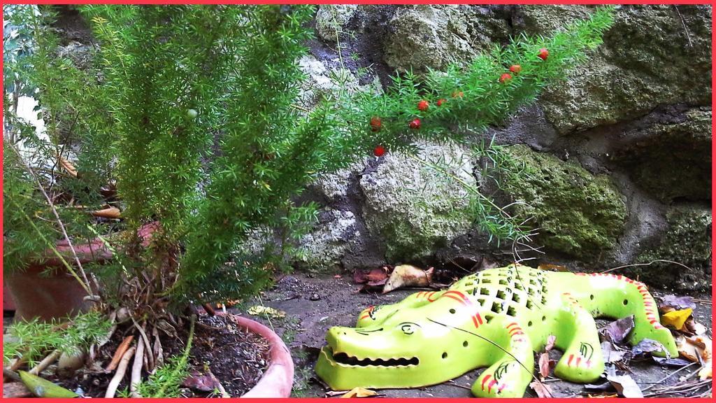 B&B La Salamandra Kitchengarden Forio  Екстер'єр фото