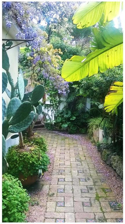 B&B La Salamandra Kitchengarden Forio  Екстер'єр фото