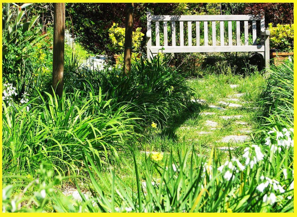 B&B La Salamandra Kitchengarden Forio  Екстер'єр фото
