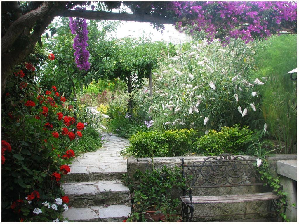B&B La Salamandra Kitchengarden Forio  Екстер'єр фото