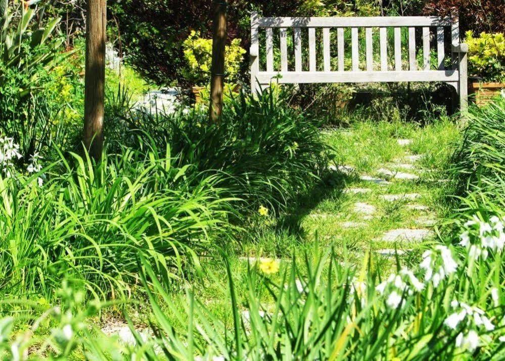B&B La Salamandra Kitchengarden Forio  Екстер'єр фото