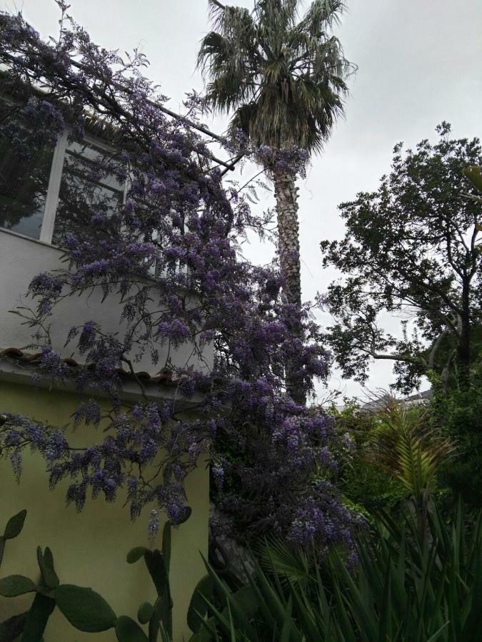 B&B La Salamandra Kitchengarden Forio  Екстер'єр фото